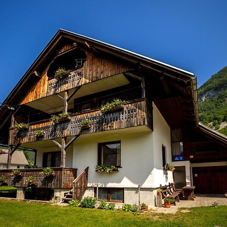 Apartment And Room Mateja Kovacic Bohinj Extérieur photo